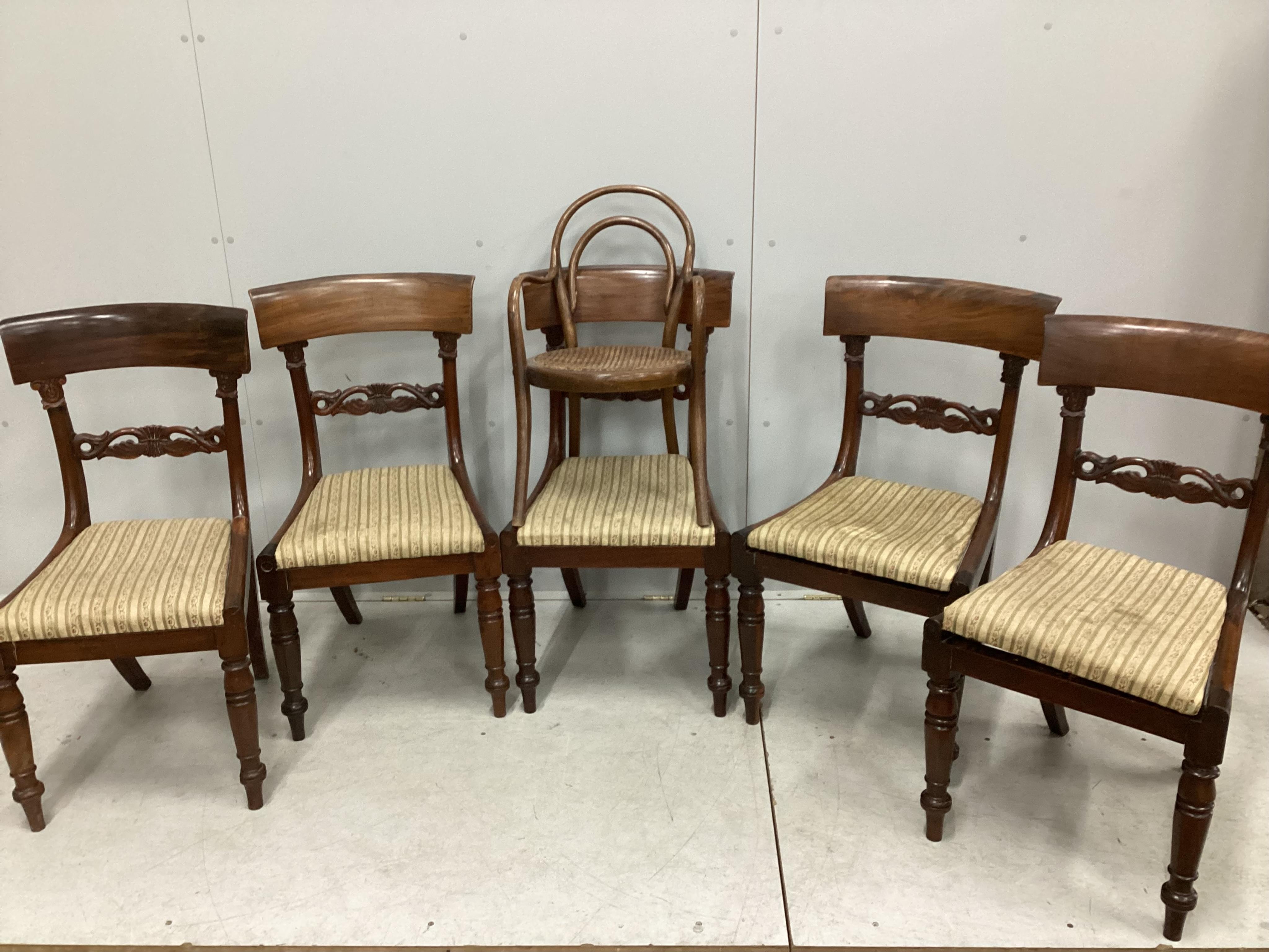 Five William IV mahogany dining chairs and an early 20th century beech bentwood cane seat child's chair. Condition - fair